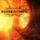 Image of a tree with sunlight, text reads “winter is coming, it’s time to get some D” SavagePT logo is at the bottom